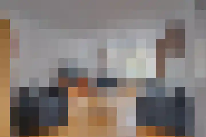 Wielewaal 6 Deventer thumbnail 10