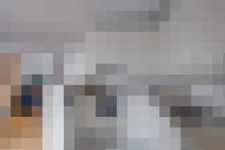 Wielewaal 6 Deventer thumbnail 18