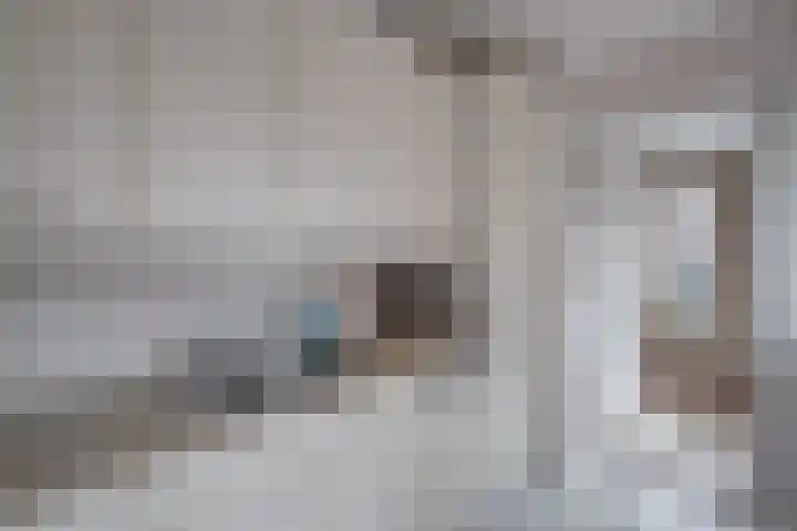 Wielewaal 6 Deventer thumbnail 20