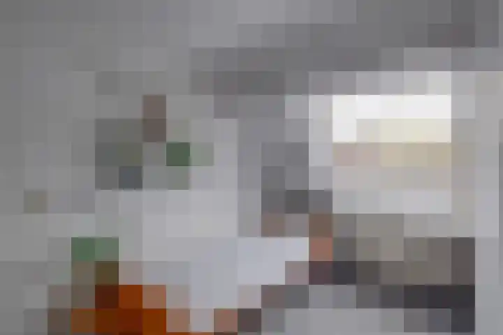 Wielewaal 6 Deventer thumbnail 28