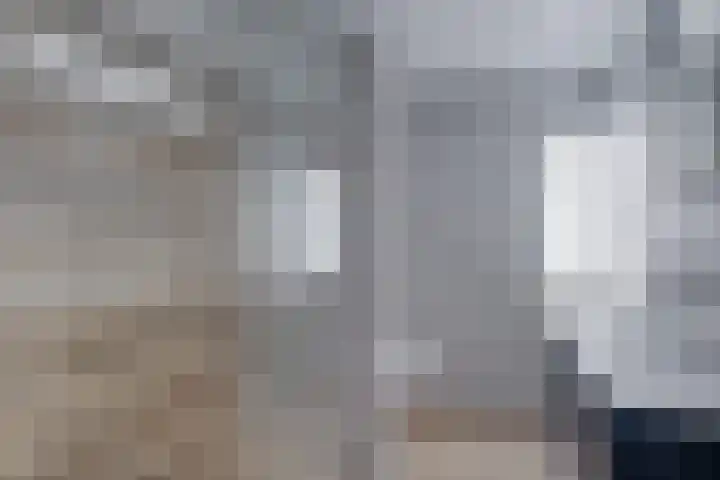 Wielewaal 6 Deventer thumbnail 33