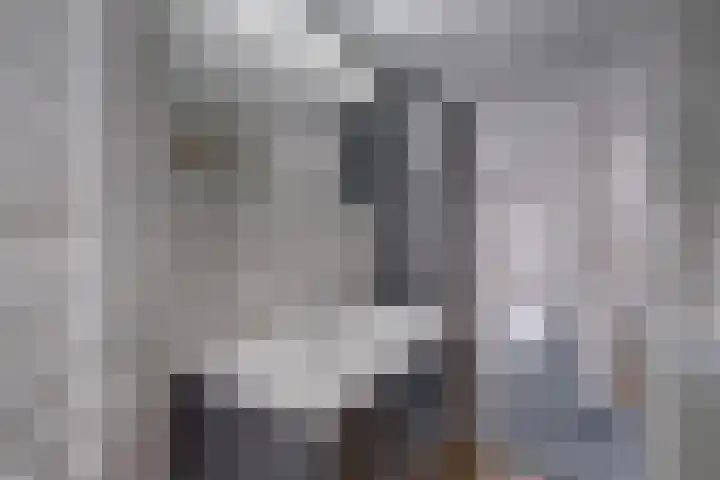 Wielewaal 6 Deventer thumbnail 34