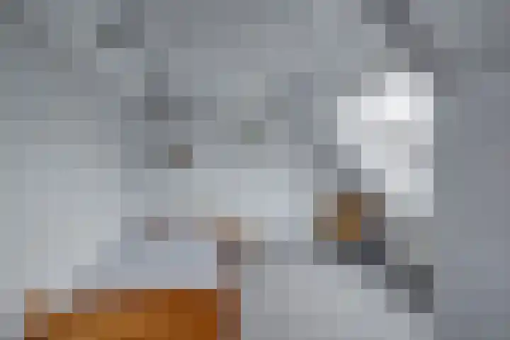 Wielewaal 6 Deventer thumbnail 39