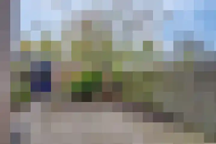 Wielewaal 6 Deventer thumbnail 41