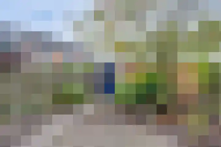 Wielewaal 6 Deventer thumbnail 42