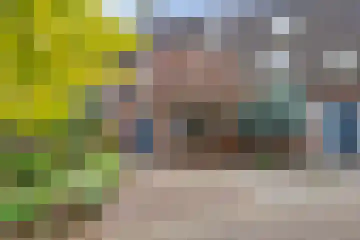 Wielewaal 6 Deventer thumbnail 48