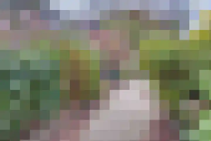 Wielewaal 6 Deventer thumbnail 49