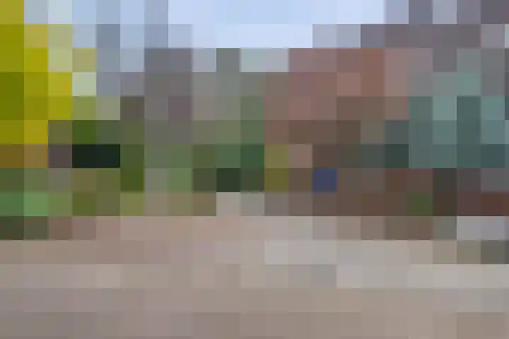 Wielewaal 6 Deventer thumbnail 50