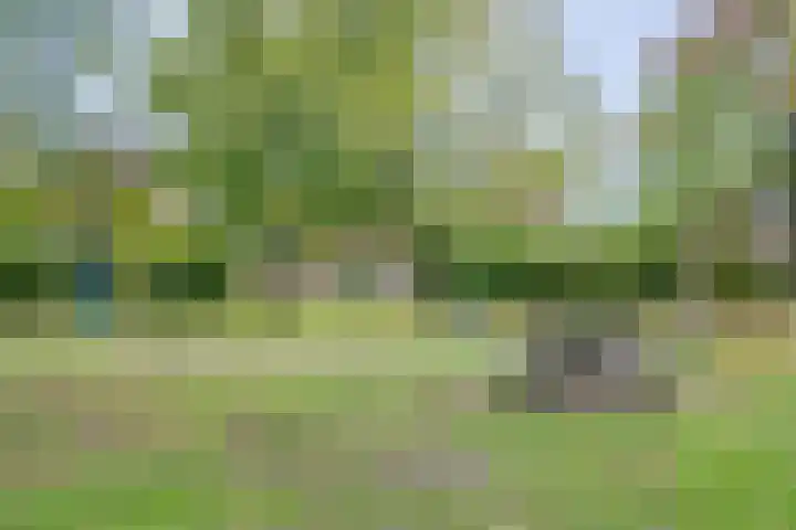 Wielewaal 6 Deventer thumbnail 51