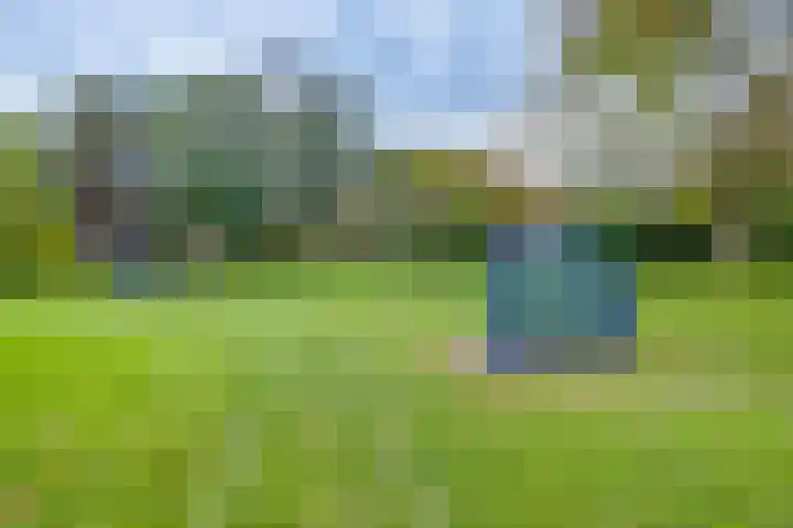 Wielewaal 6 Deventer thumbnail 52
