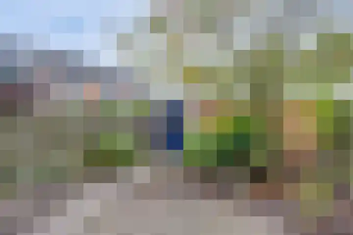 Wielewaal 6 Deventer thumbnail 6