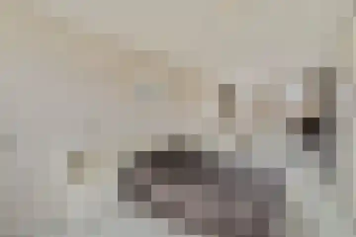 Wielewaal 6 Etten-Leur thumbnail 17