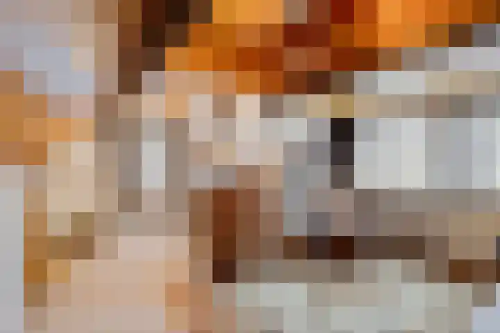 Wielewaal 6 Etten-Leur thumbnail 23