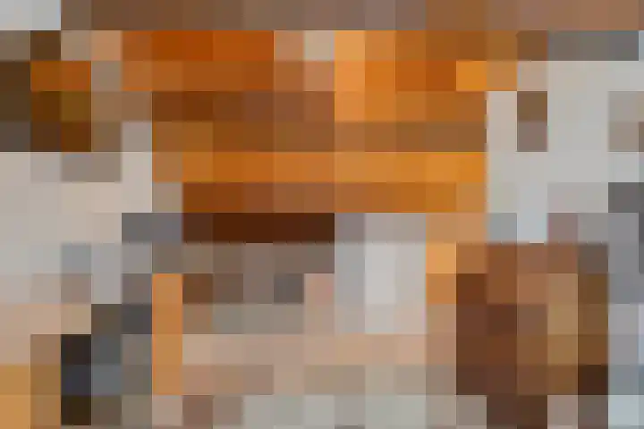 Wielewaal 6 Etten-Leur thumbnail 25