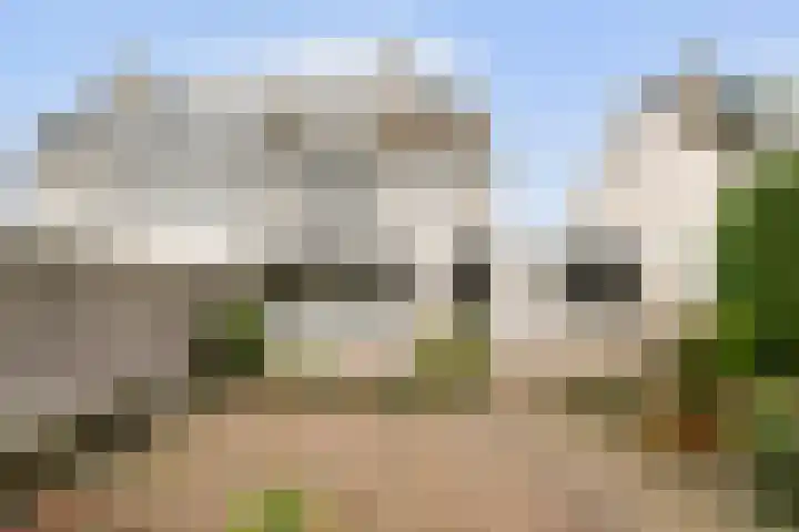 Wielewaal 6 Etten-Leur thumbnail 26