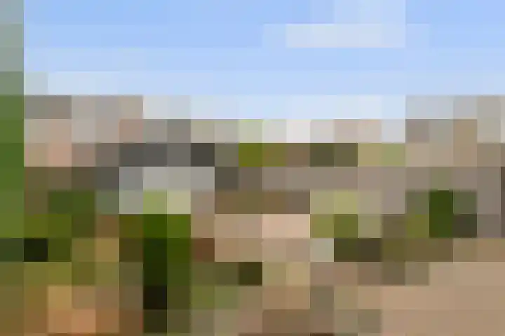 Wielewaal 6 Etten-Leur thumbnail 28
