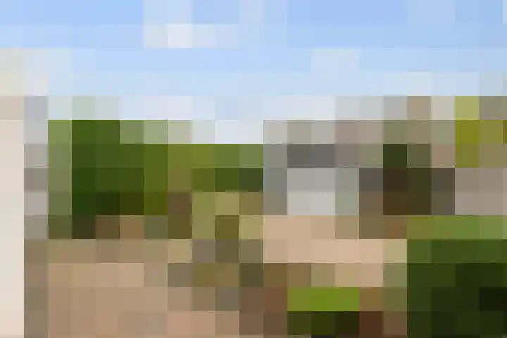 Wielewaal 6 Etten-Leur thumbnail 29
