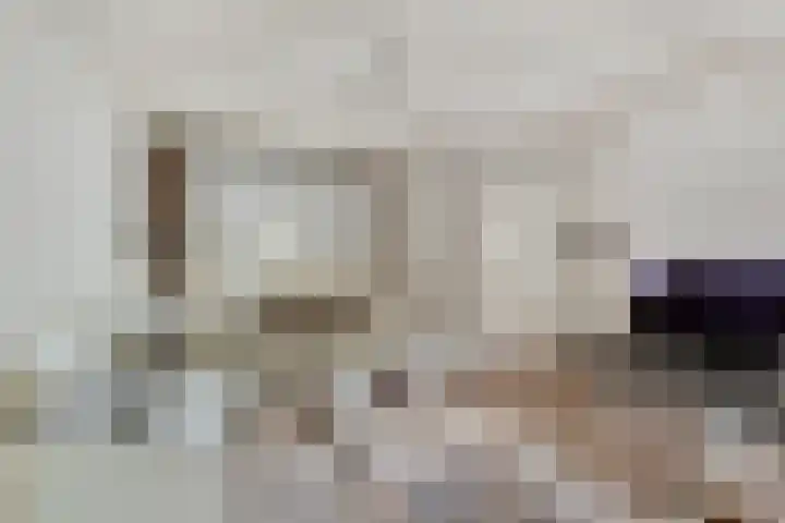 Wielewaal 6 Etten-Leur thumbnail 4