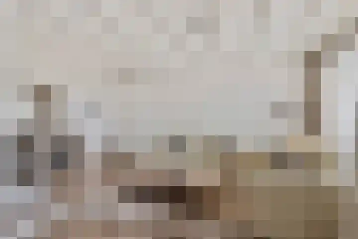 Wielewaal 6 Etten-Leur thumbnail 5