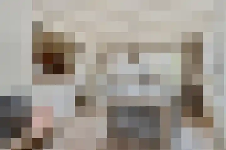 Wielewaal 6 Etten-Leur thumbnail 8