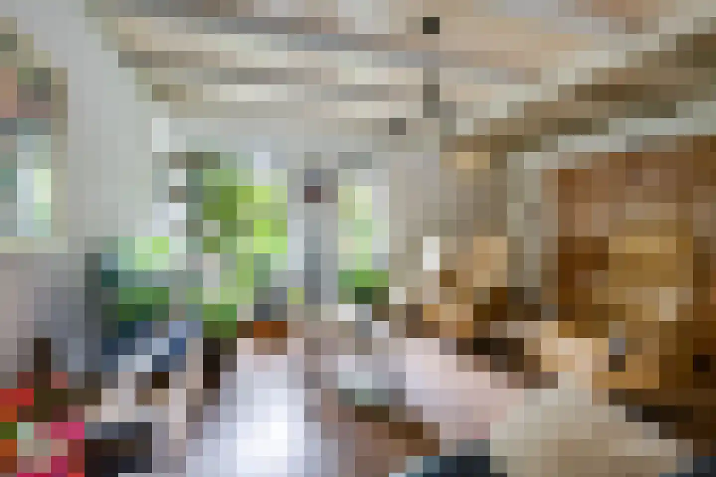 Wielewaal 66 Etten-Leur thumbnail 11