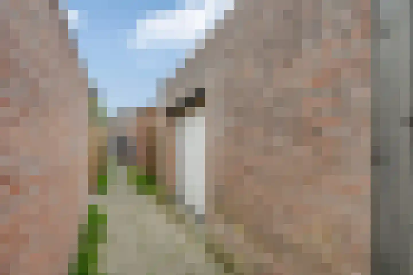 Wielewaal 66 Etten-Leur thumbnail 48