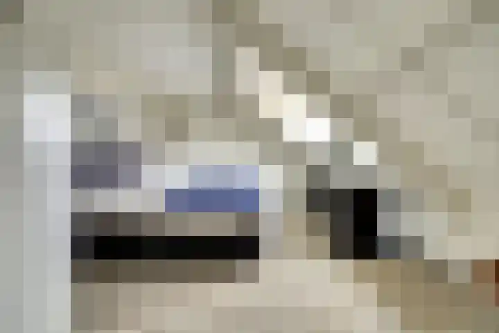 Wielewaal 8 Hoogvliet Rotterdam thumbnail 10