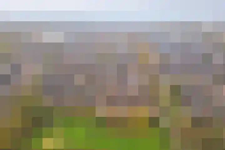 Wielewaal 8 Hoogvliet Rotterdam thumbnail 22