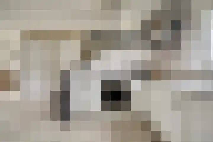 Wielewaal 8 Hoogvliet Rotterdam thumbnail 5