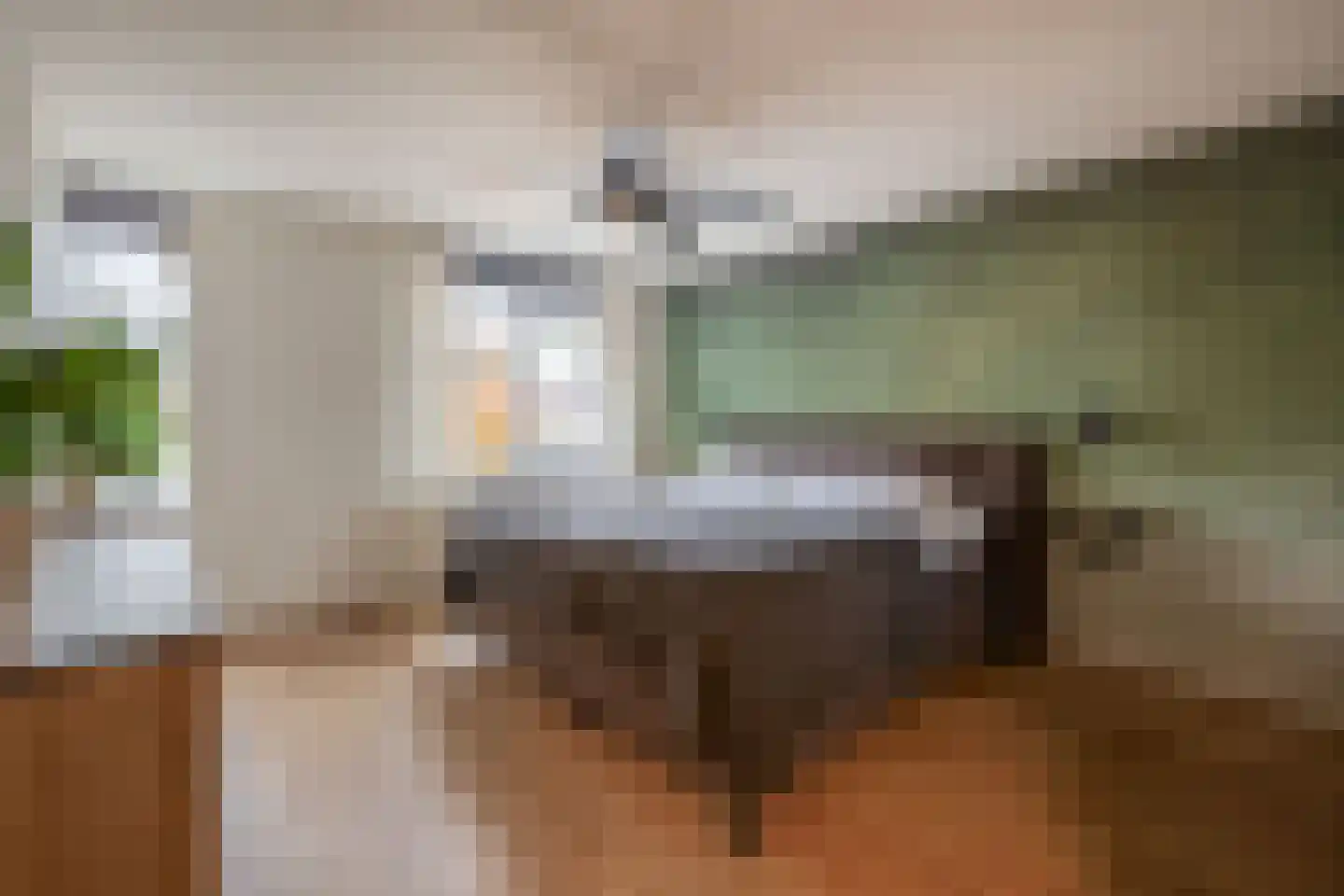 Wielewaal 9 Bodegraven thumbnail 17