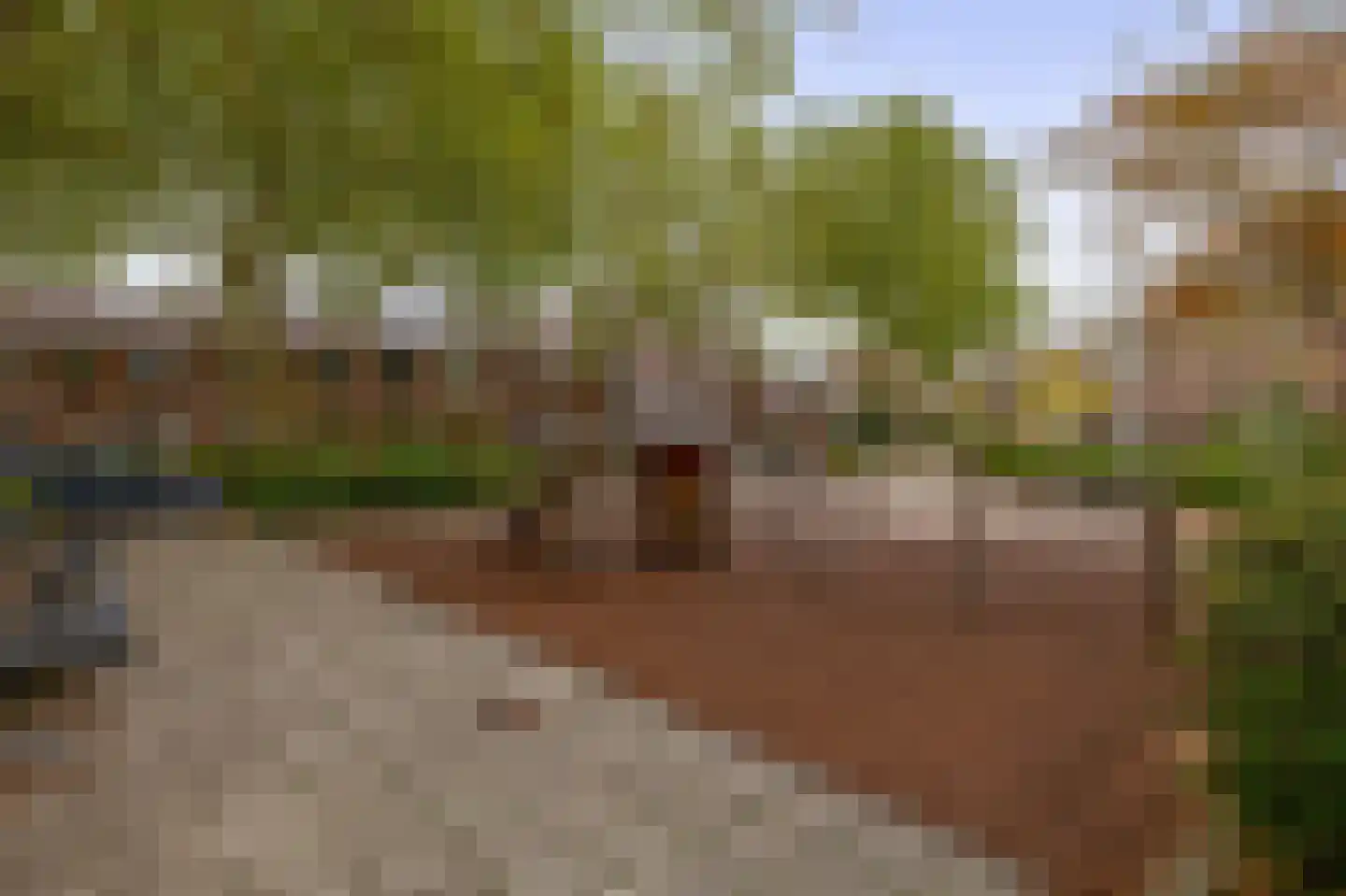 Wielewaal 9 Bodegraven thumbnail 29