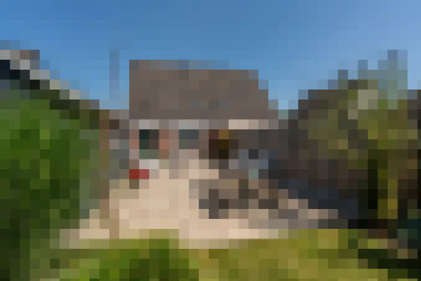 Wielewaalhof 105 Stadskanaal thumbnail 35
