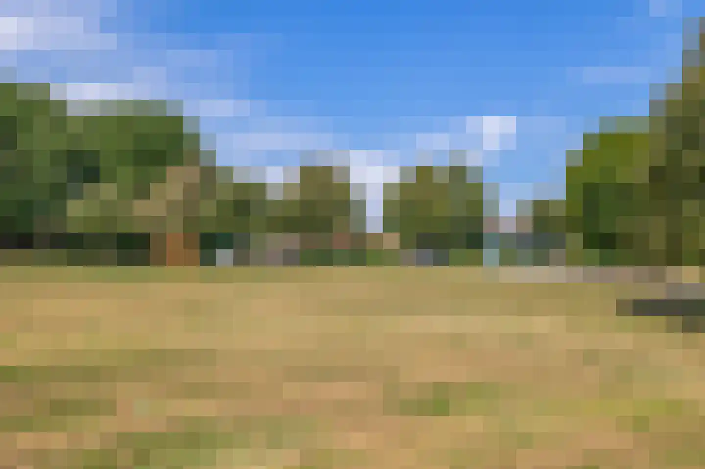 Wielewaalhof 60 Stadskanaal thumbnail 43