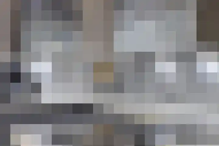 Wielewaalhof 83 Stadskanaal thumbnail 13