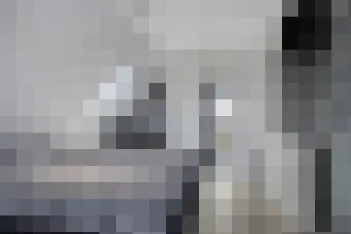 Wielewaalhof 83 Stadskanaal thumbnail 18