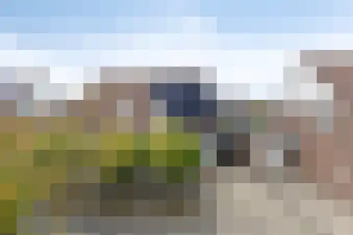 Wielewaalhof 83 Stadskanaal thumbnail 32