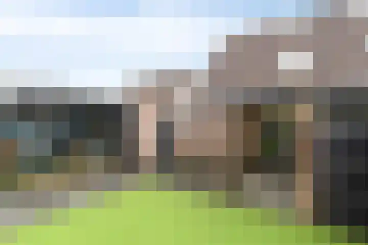 Wielewaalhof 83 Stadskanaal thumbnail 4