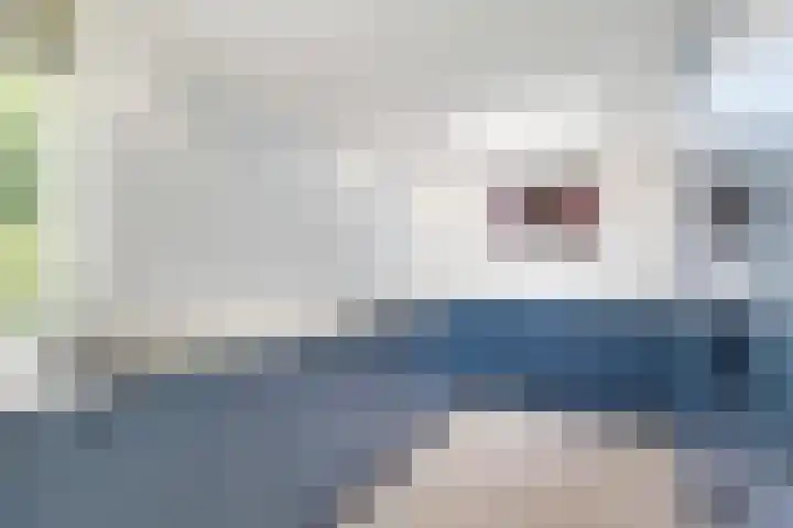 Wielewaallaan 11 Almere thumbnail 12