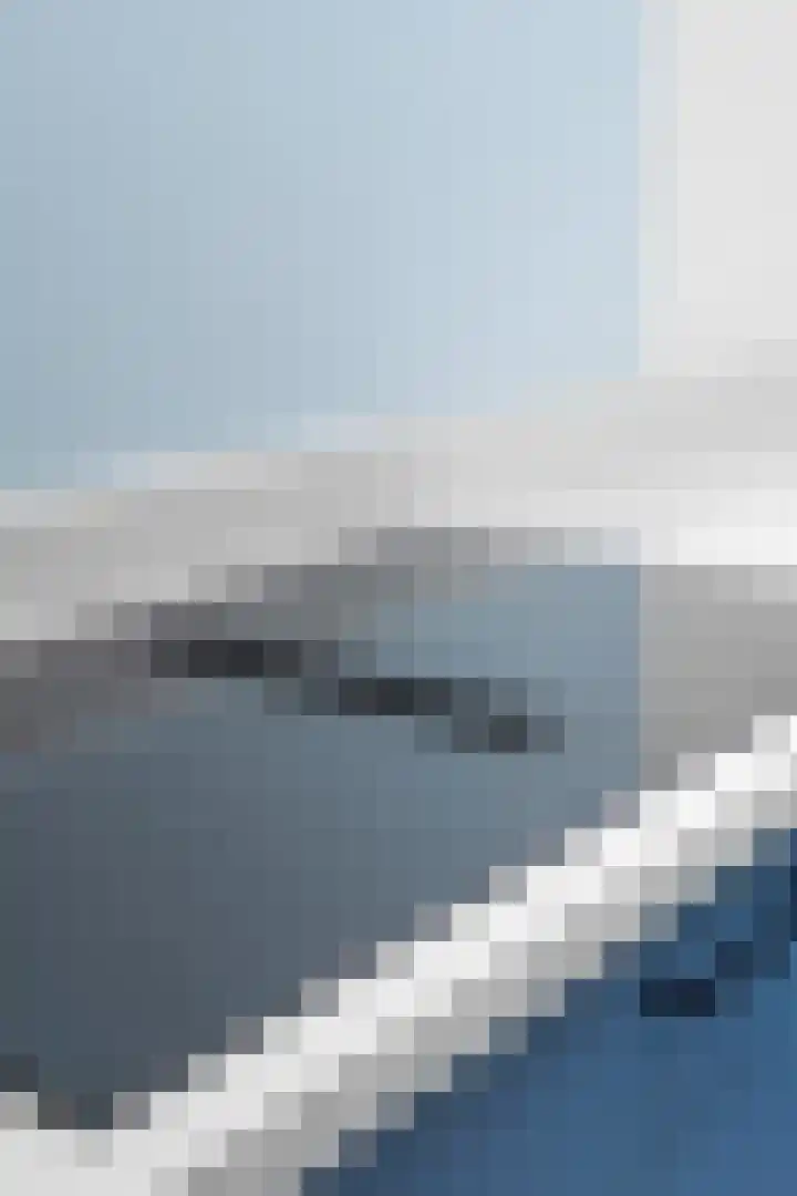 Wielewaallaan 11 Almere thumbnail 15