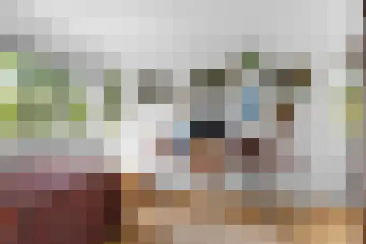 Wielewaallaan 11 Almere thumbnail 36