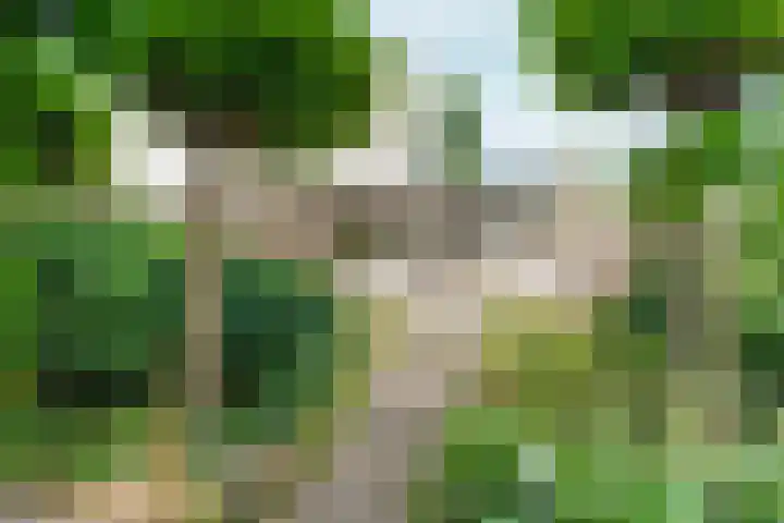 Wielewaallaan 11 Almere thumbnail 43