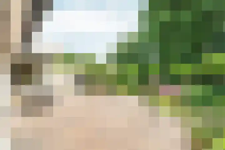 Wielewaallaan 11 Almere thumbnail 44