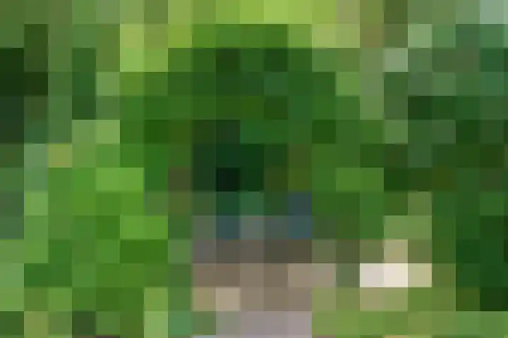 Wielewaallaan 11 Almere thumbnail 47