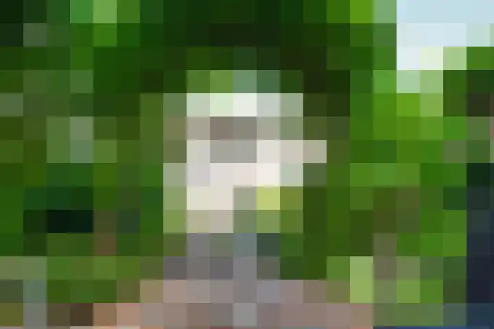 Wielewaallaan 11 Almere thumbnail 48