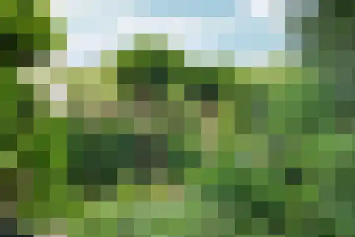 Wielewaallaan 11 Almere thumbnail 49