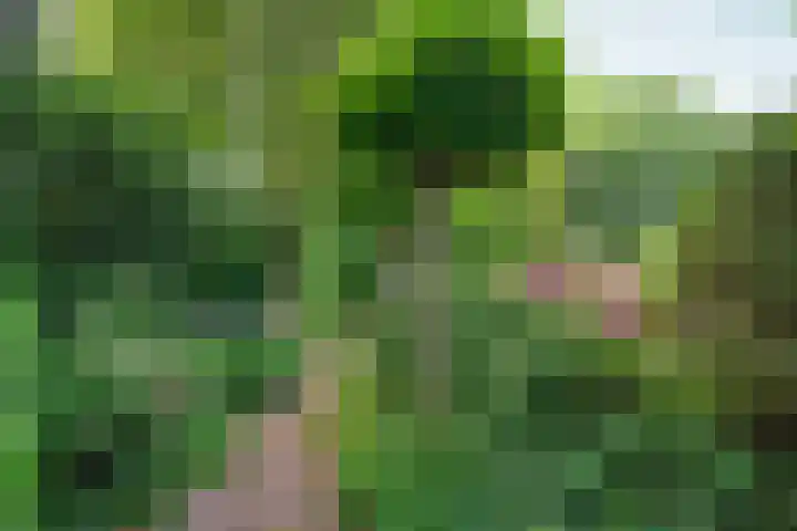 Wielewaallaan 11 Almere thumbnail 51