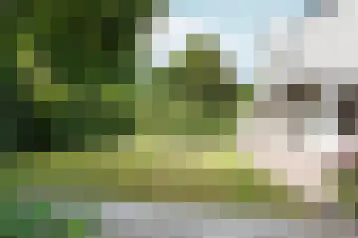 Wielewaallaan 11 Almere thumbnail 52
