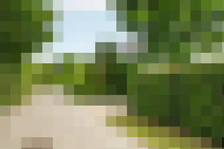 Wielewaallaan 11 Almere thumbnail 57