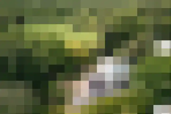 Wielewaallaan 11 Almere thumbnail 62