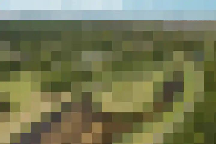Wielewaallaan 11 Almere thumbnail 63